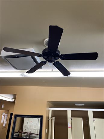 Ceiling Fan