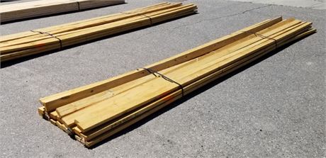 (Bunk #8) 2x4x16' TREATED Lumber - 21pcs.