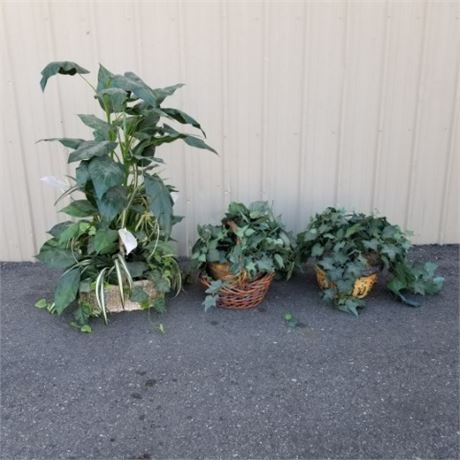 Artificial Plant Trio