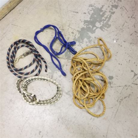 Assorted Lead Ropes