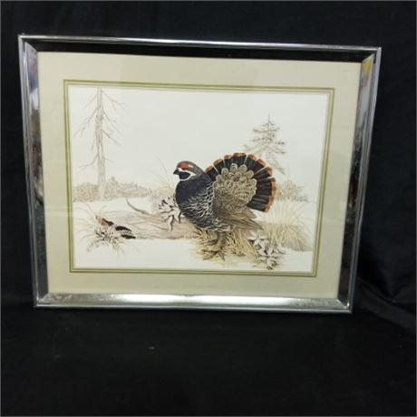 Framed Quail Print - 20x16