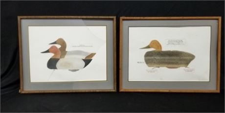 2 Signed & Numbered Duck Decoy Prints (need work) 28x22