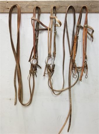 2 Bridles &  3 Bits