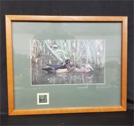 Framed Waterfowl & Stamp - 22x18