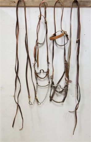 2 Bridles & Bits