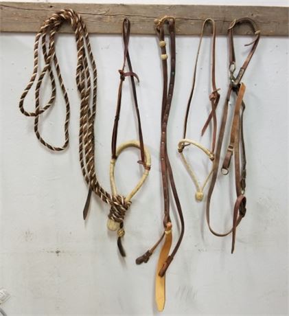 Bridles, Halters, & Other Assorted Tack