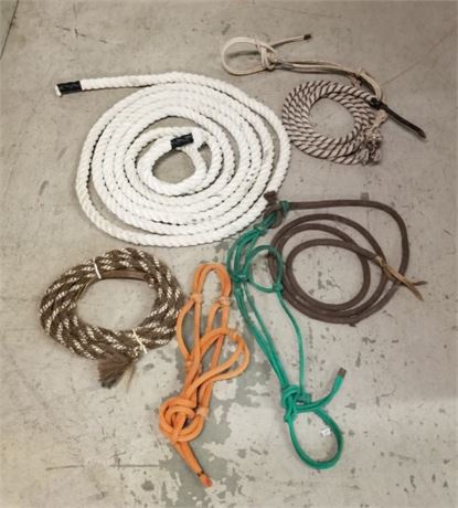 Assorted Leads & Halters