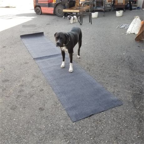 RV Outdoor Runner Rug...11'x27"