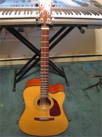 Beautiful Fender Acoustic Electric Guitar with Case