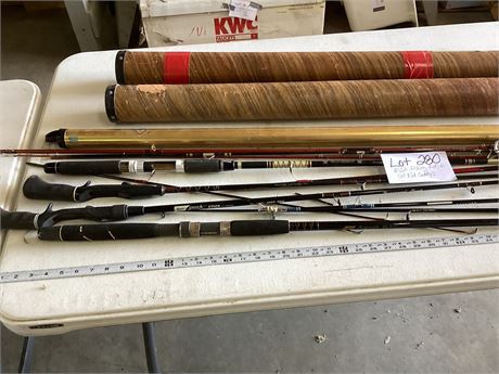 Assorted Fishing Rods & Caddy