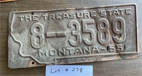 The Treasure State License Plate