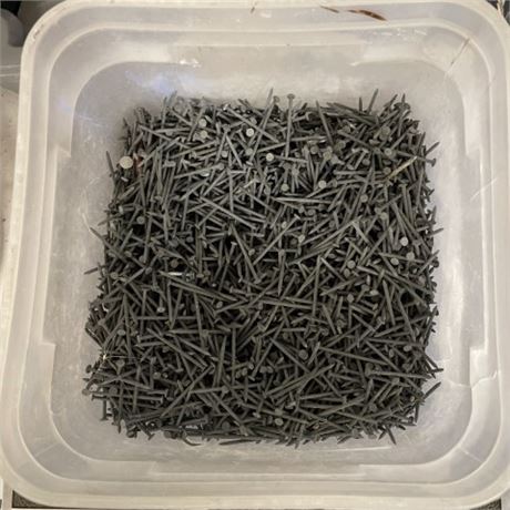 2" Galvanized Nails...9lbs