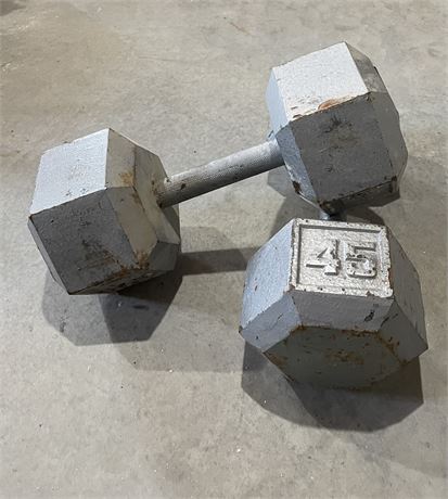 45 Pound Dumbbells