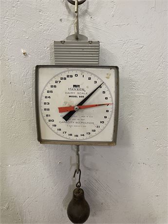 Hanson Hanging Dairy Scale - 8x18