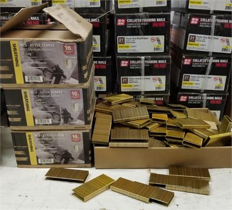 ½" Crown - 2" Leg Sheathing Staples - 4 Boxes x 10,000pcs