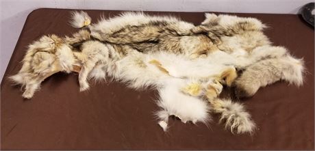 Fox Pelts