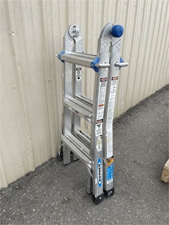 5' - 10' Werner Step/Extension Ladder