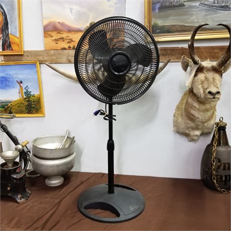 Black Adjustable Oscillating Fan