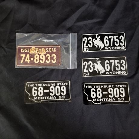 Mini Metal License Plates