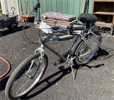 Zephyr Gray Bicycle
