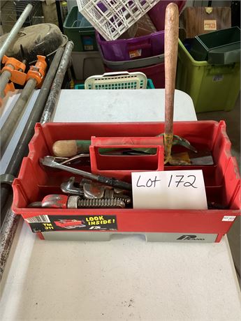 Assortment of Tools in Tray