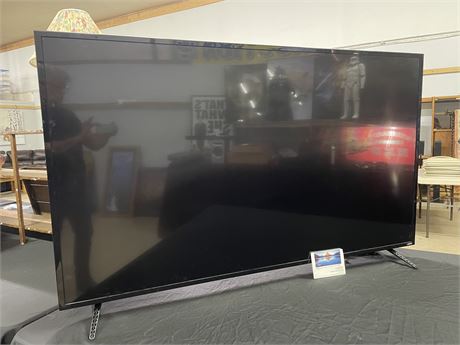 74" Visio Flat Screen Television