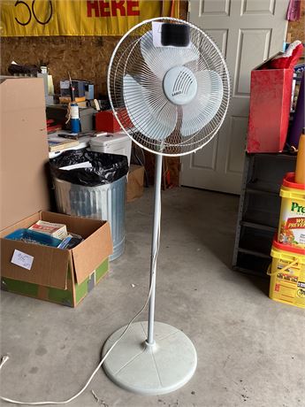 Pedestal Fan