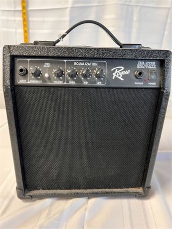 Rogue Amplifier