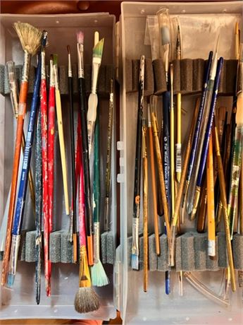 lots of brushes for artists