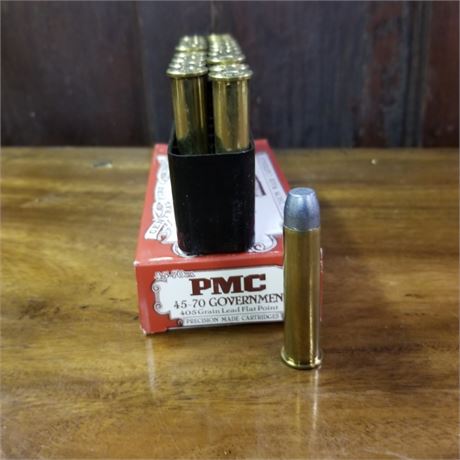 45-70 Government Ammo - 20rds
