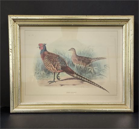 Vintage Framed and Signed by E. Neale Pheasant Print, 17x14