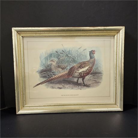 Vintage Signed and Framed Pheasant Print, 17x14