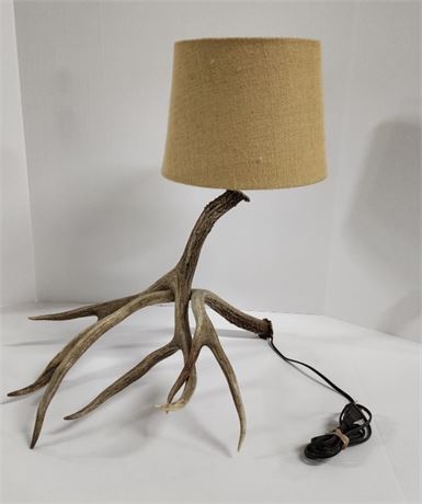 Cool Genuine Deer Antler Table Lamp, 21" tall