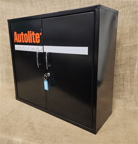 Immaculate Wall Mount Autolite Locking Shelved Cabinet w/Key, 26x9x23