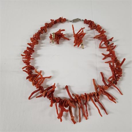 Gorgeous Vintage Coral Necklace and Earrings