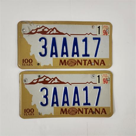 Collectible Montana 100 Year License Plate Pair