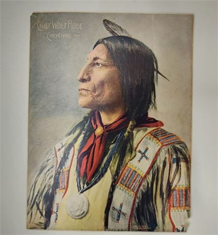 "Chief Wolf Robe" Vintage 1900's F.A. Rinehart Tinted Photo Print - 6x8