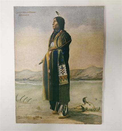 "Chief Wolf Robe" Vintage 1900's F.A. Rinehart Tinted Photo Print - 6x8