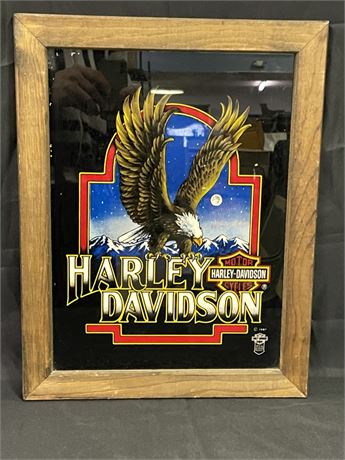 Framed Harley Davidson Eagle Wall Hanger - 14x19