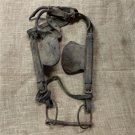 Antique Horse Bridle Set & Blinders