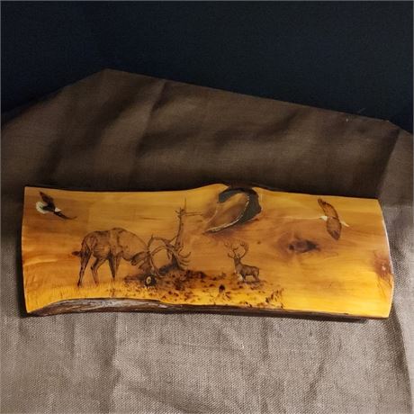 Carved/Burned Wood Slab Art Wall Hanger - 26x10 Signed/Numbered on Back