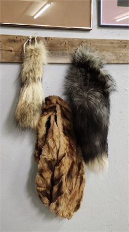 Raccoon & Coyote tails/Ferret Pelts