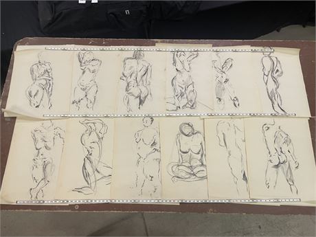 12 Charcoal Studies drawn on Paper, 18x24