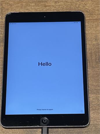 iPad Mini