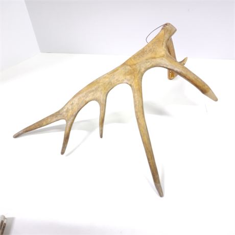 Wild Game Antler Wall Hanger