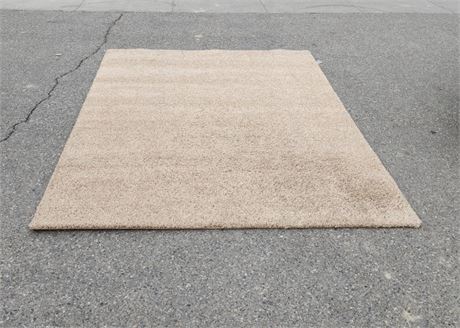 Large Shag Tan Area Rug - 117"x8' Nice and Clean!