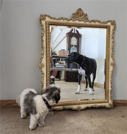 Gorgeous Large Fancy Framed Beveled Mirror - 28x38