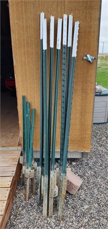 (7) 66"T-Posts  and (5) 36" T-Posts