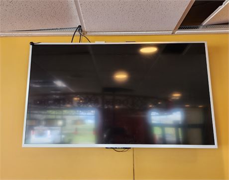 50" NEC Multi Sync LCD Monitor w/ Wall Mount Rack