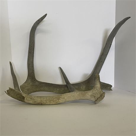 Antler Sheds